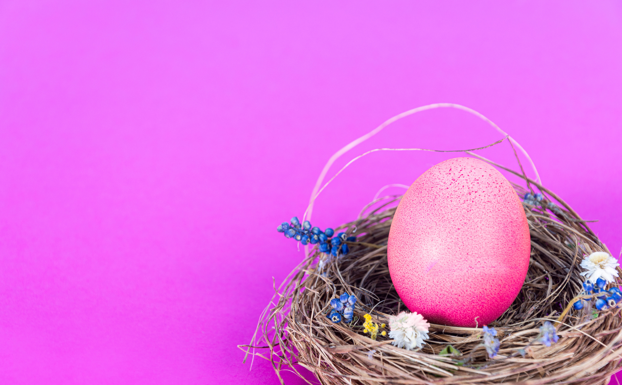 Colorful Background with Easter Eggs on Pink Background. Happy Easter Concept. Can Be Used as Poster, Background, Holiday Card. Flat Lay, Top View, Copy Space. Studio Photo