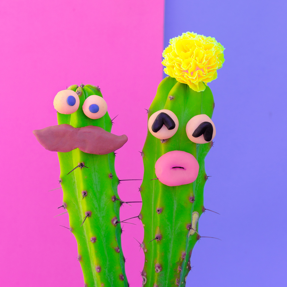 Hipster Cacti Couple in Love. Candy Colours Concept. Creative Ca