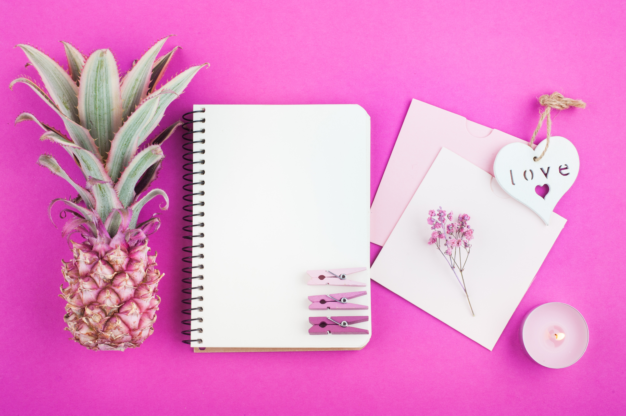 Pink Pineapple, Notebook on Pink